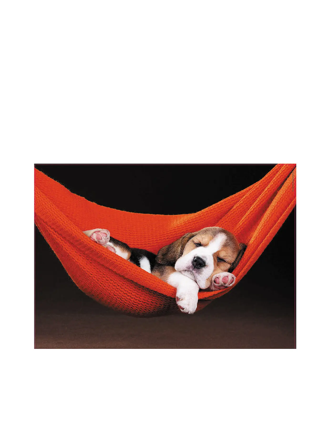 EDUCA | Hundewelpe Hängematte 500 Teile Puzzle | 